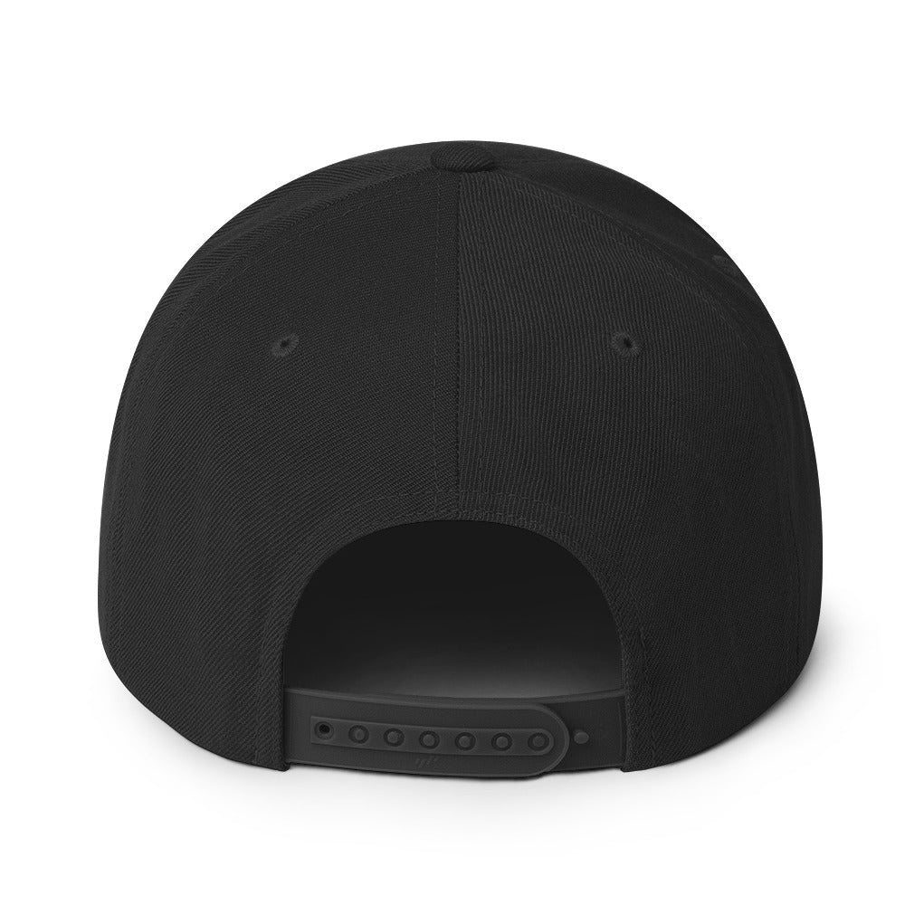 Snapback Hat - Icon