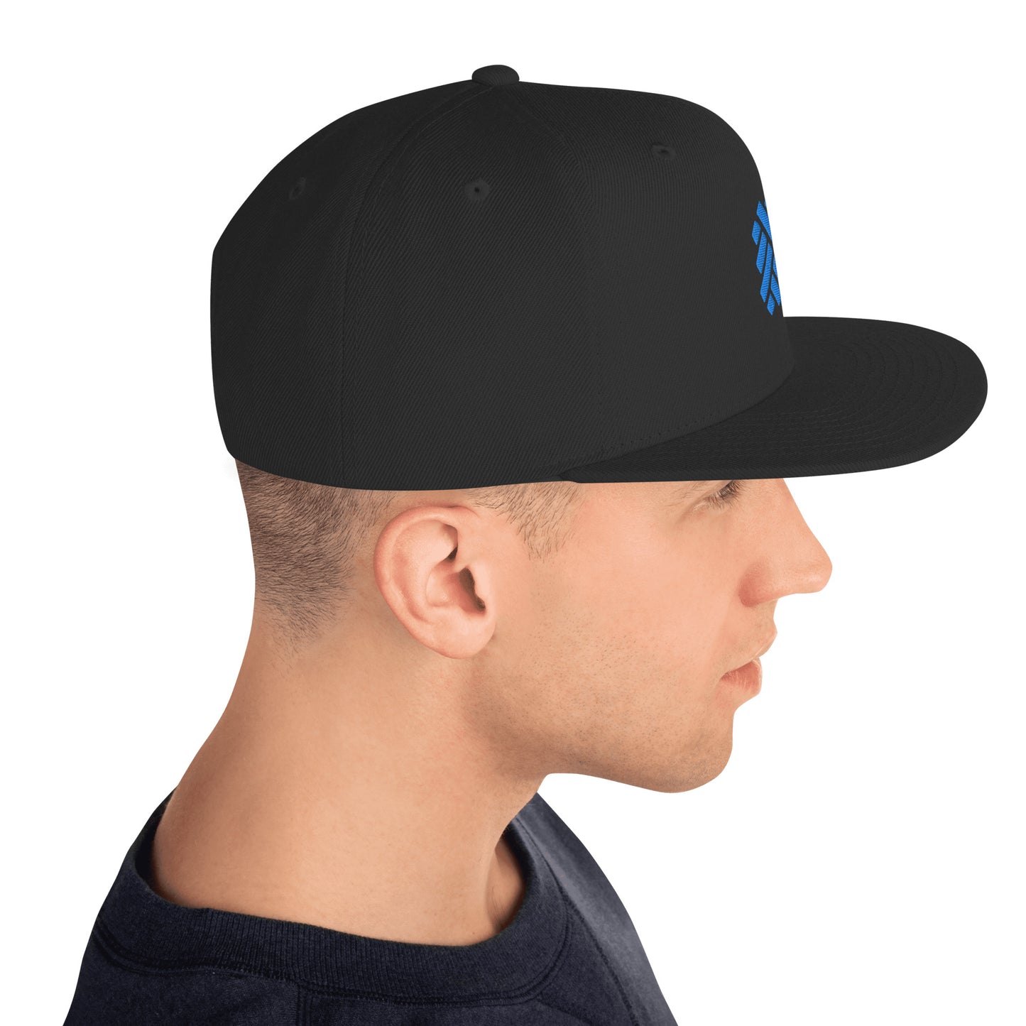 Snapback Hat - Icon